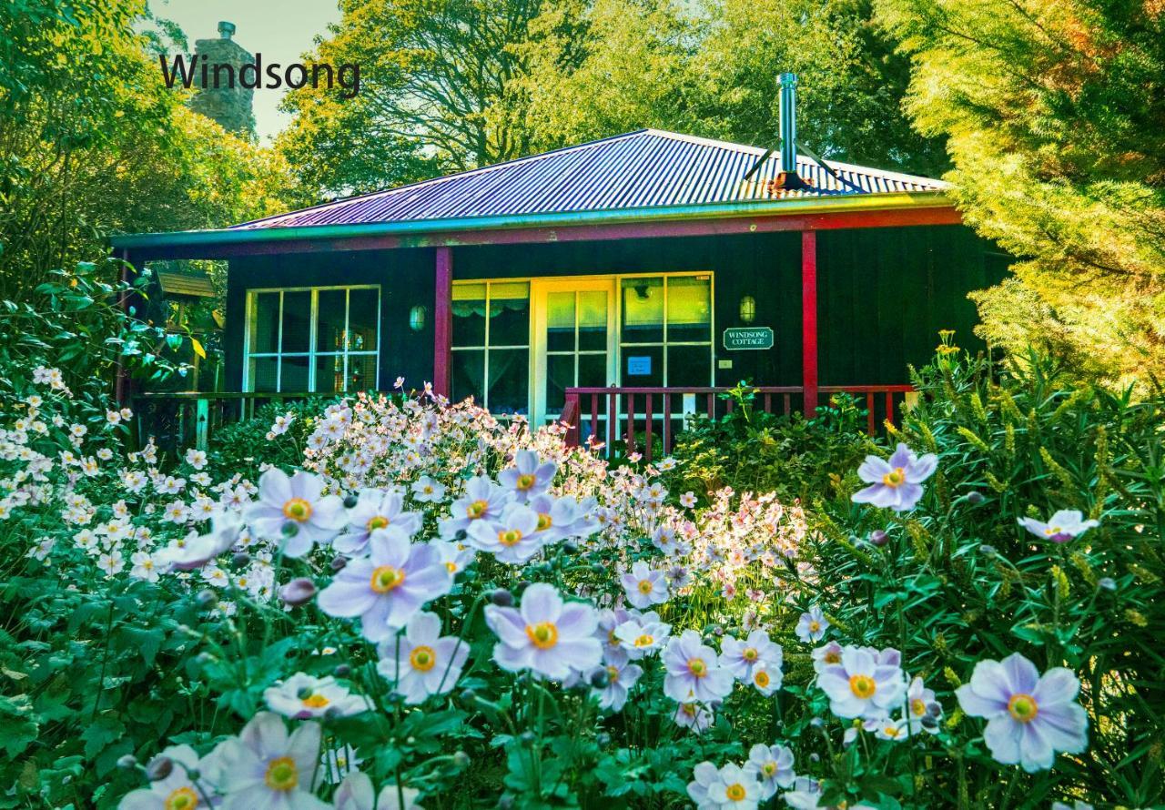 Observatory Cottages Mount Dandenong Exteriör bild