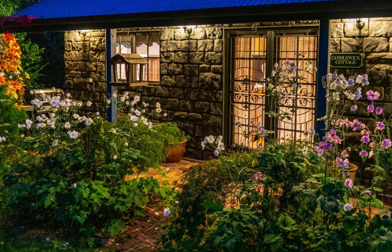 Observatory Cottages Mount Dandenong Exteriör bild