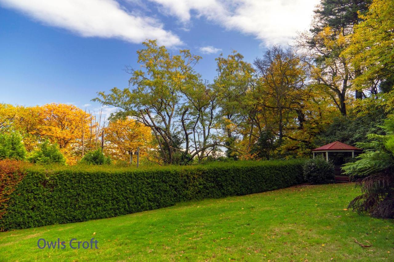 Observatory Cottages Mount Dandenong Exteriör bild