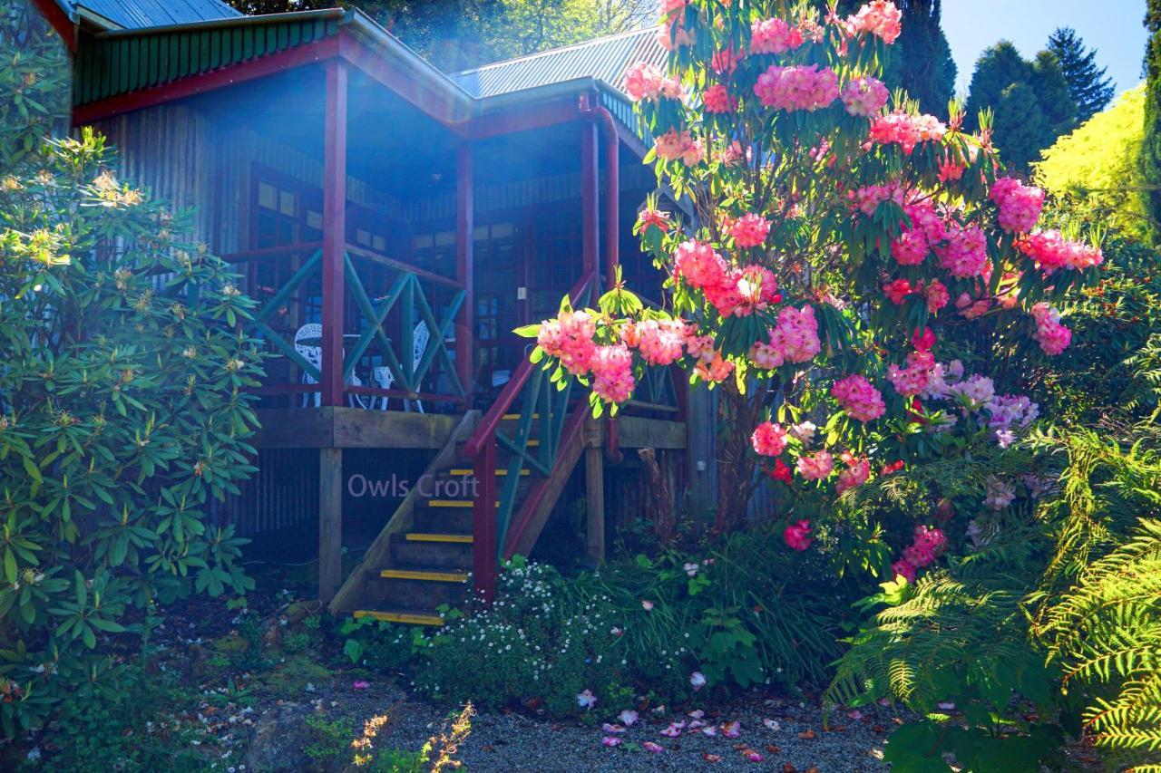 Observatory Cottages Mount Dandenong Exteriör bild