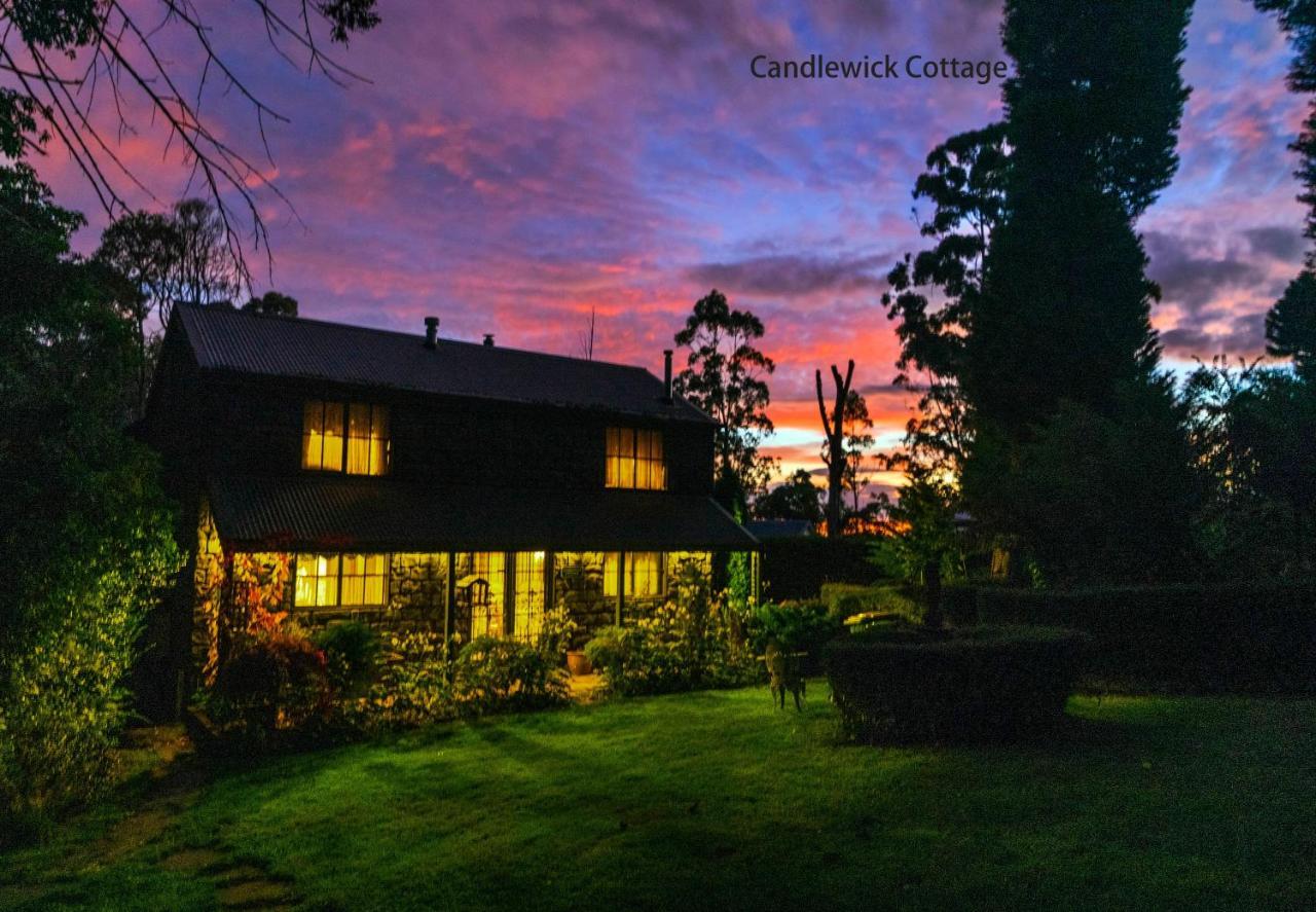 Observatory Cottages Mount Dandenong Exteriör bild